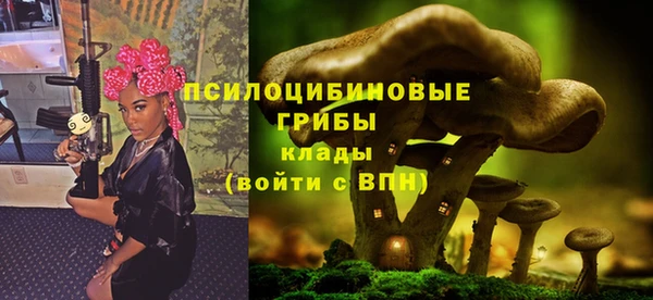 mix Вяземский
