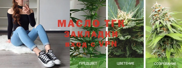 шишки Сясьстрой