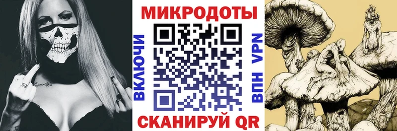 Галлюциногенные грибы мухоморы  купить наркоту  Дмитров 